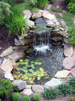 How to Build a Koi Pond - Ultimate Guide