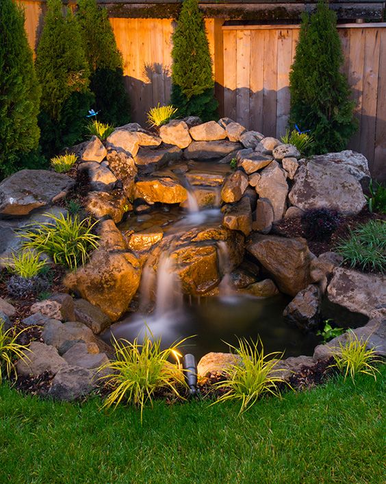 How to Build a Koi Pond - Ultimate Guide