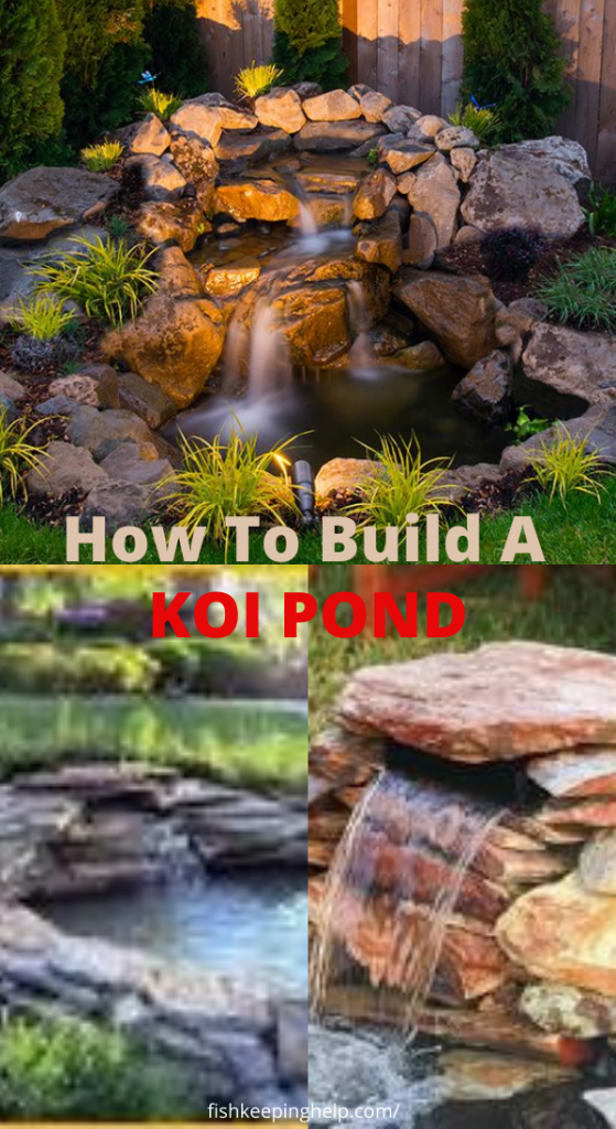 How to Build a Koi Pond - Ultimate Guide