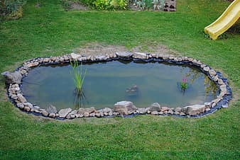 How to Build a Koi Pond - Ultimate Guide